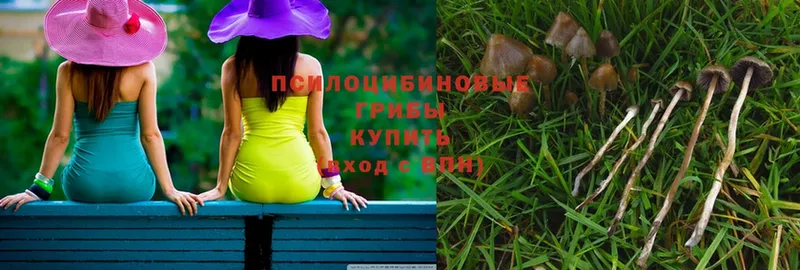 Псилоцибиновые грибы MAGIC MUSHROOMS  сайты даркнета как зайти  Орск 